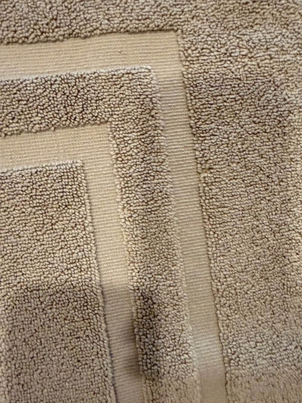 Neutral Beige Door Mat with Double-Frame Design 20x30 Absorbent